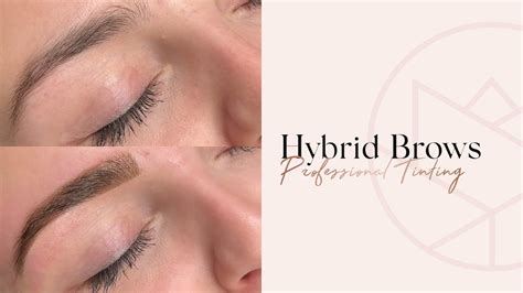 hybridbrows halle (saale)